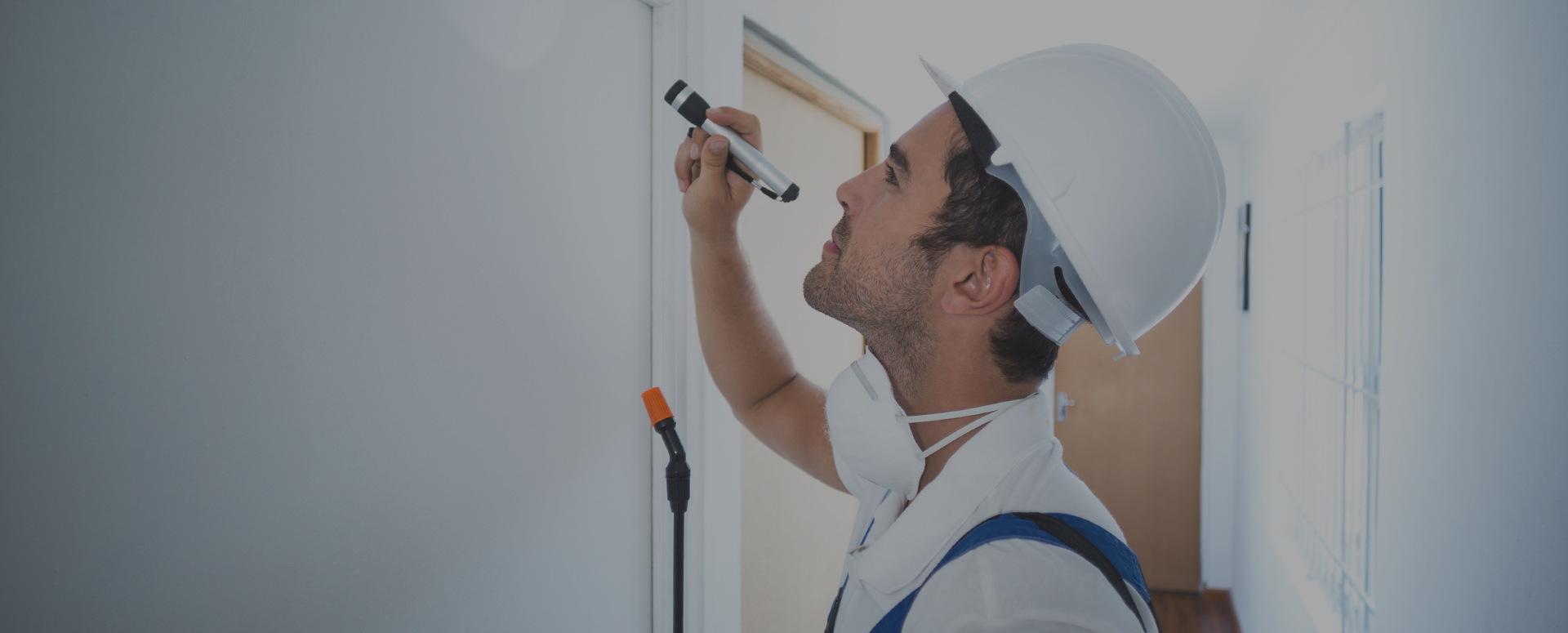 Pest Control Surrey, Pest Removal Vancouver BC APNA Pest Control