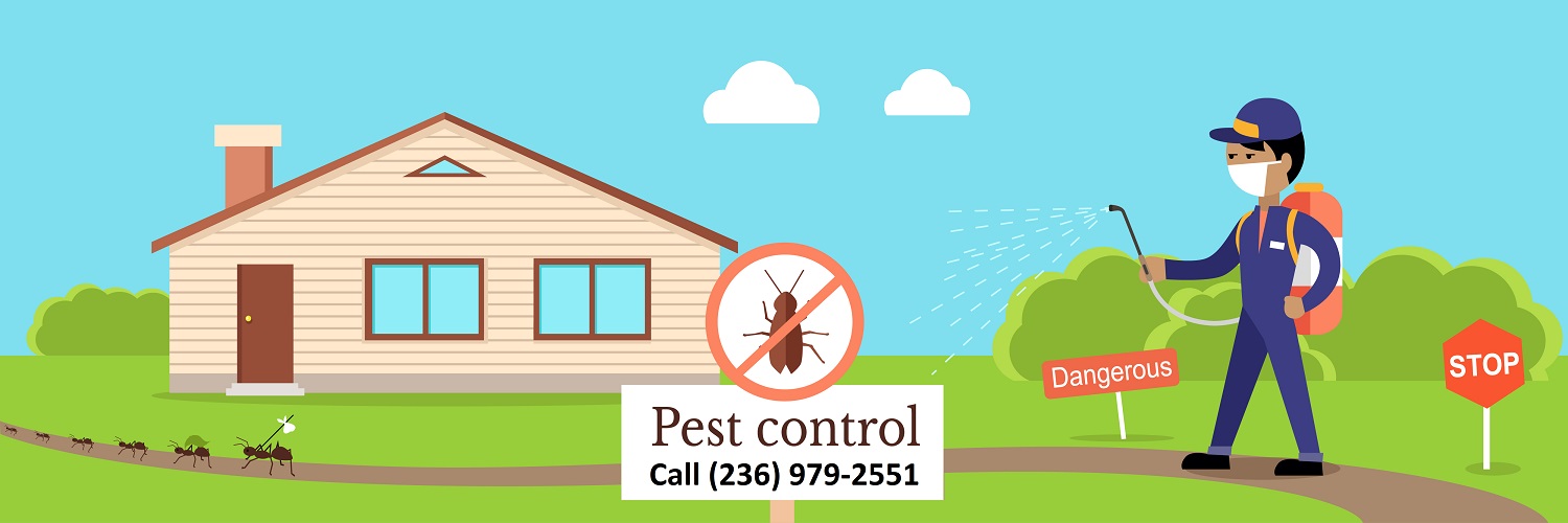 , Vancouver Pest Control