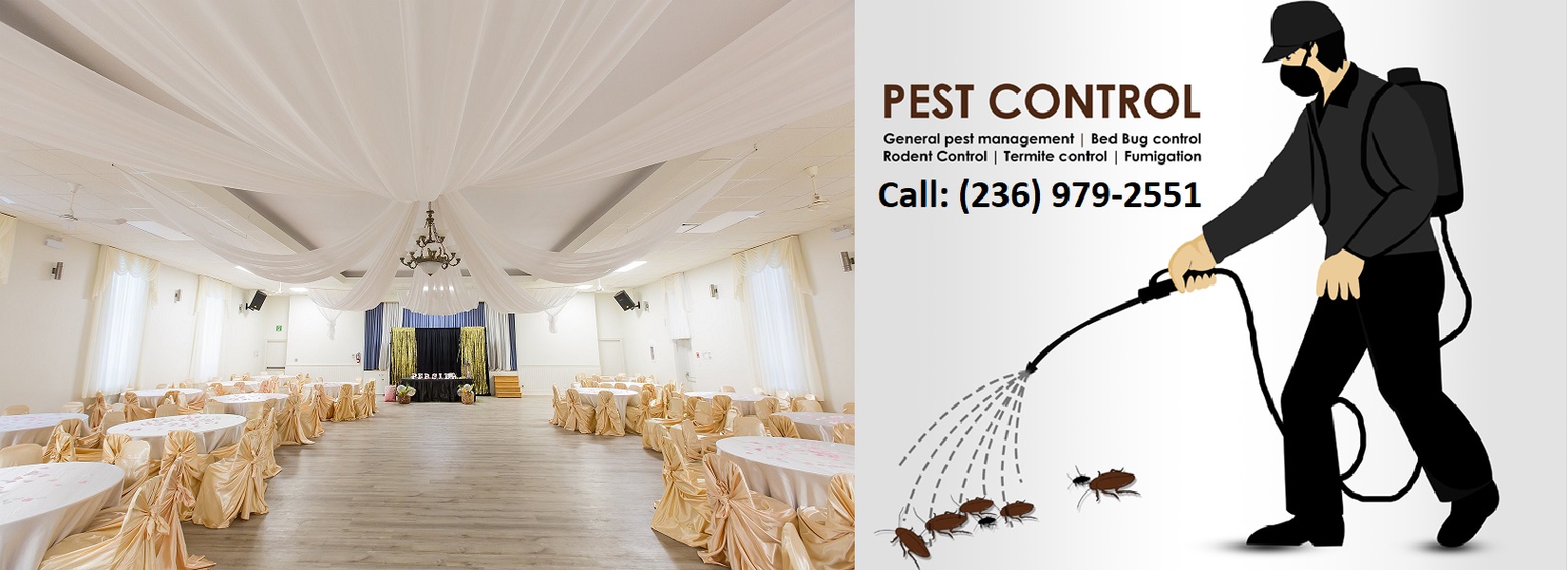 Banquet Halls Pest Removal Services, Banquet Halls Pest Removal Services
