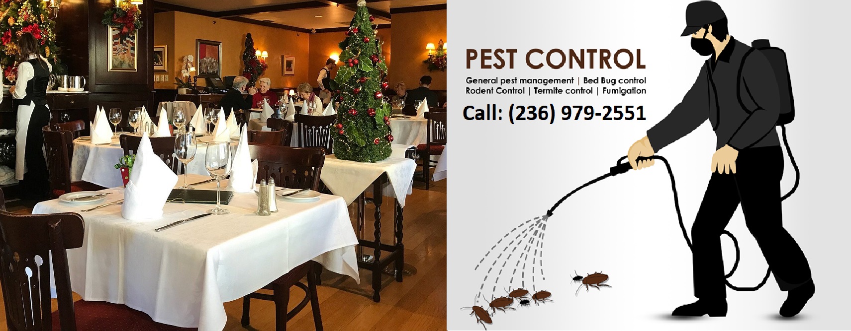 Restaurants Pest Removal Services, Restaurants Pest Removal Services