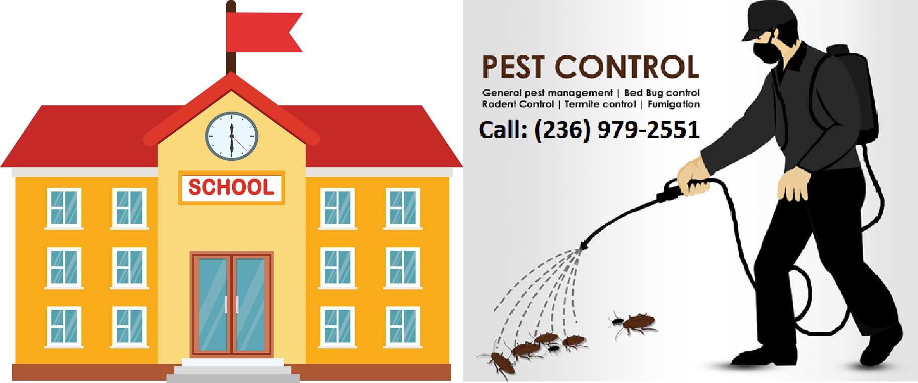 Schools Pest Removal Services, Schools Pest Removal Services