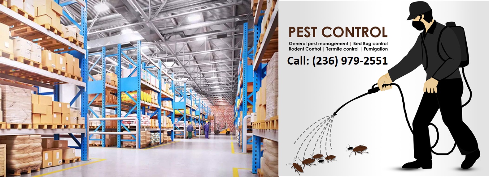 Warehouses Pest Removal Services, Warehouses Pest Removal Services