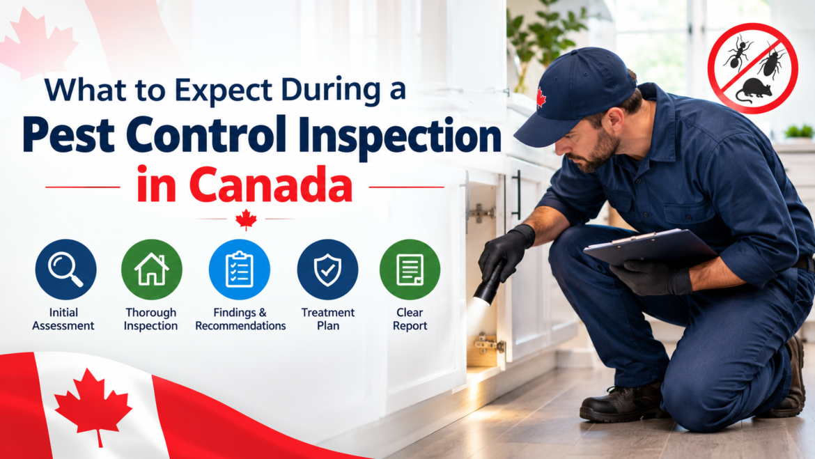 What to Expect During a Pest Control Inspection in Canada