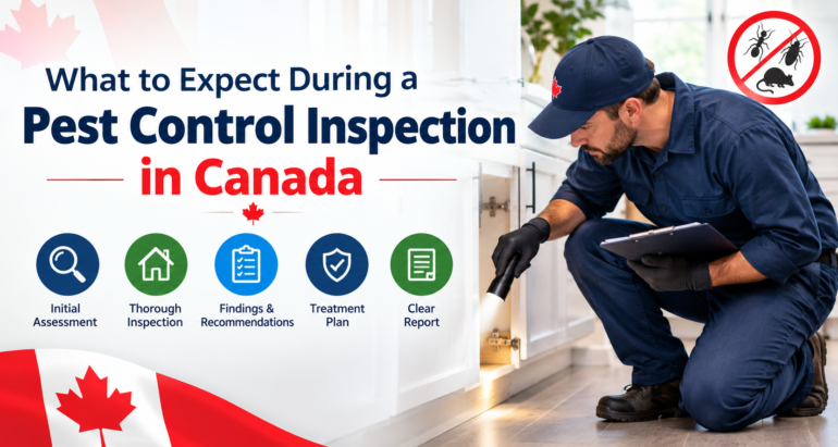 What to Expect During a Pest Control Inspection in Canada